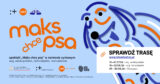 „Maks chce psa” w&nbsp;namiocie cyrkowym | Spektakl familijny wyrusza w&nbsp;trasę!